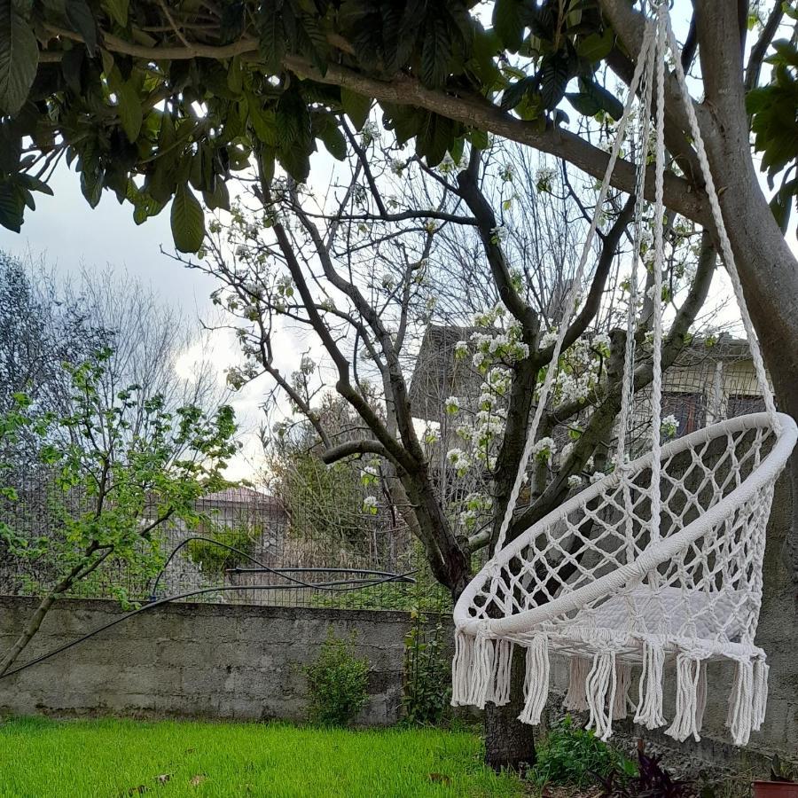 Cortina House Berat Appartement Kuçovë Buitenkant foto