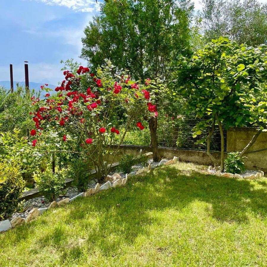 Cortina House Berat Appartement Kuçovë Buitenkant foto